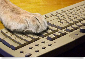 Lion Paw on Keyboard